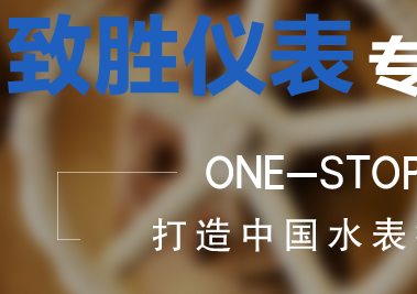 致胜仪表